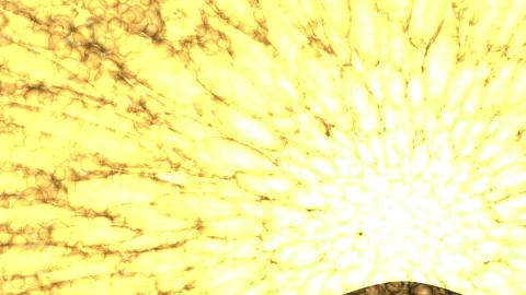 Golden abstract particles explosion in cinematic motion with dark backdrop .. Stock Footage 342504548