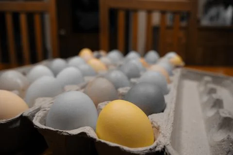 Golden among gray: Easter eggs Foto stock