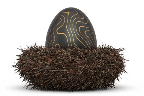Golden and black Easter egg in bird nest isolated on white background. Stock Illustration