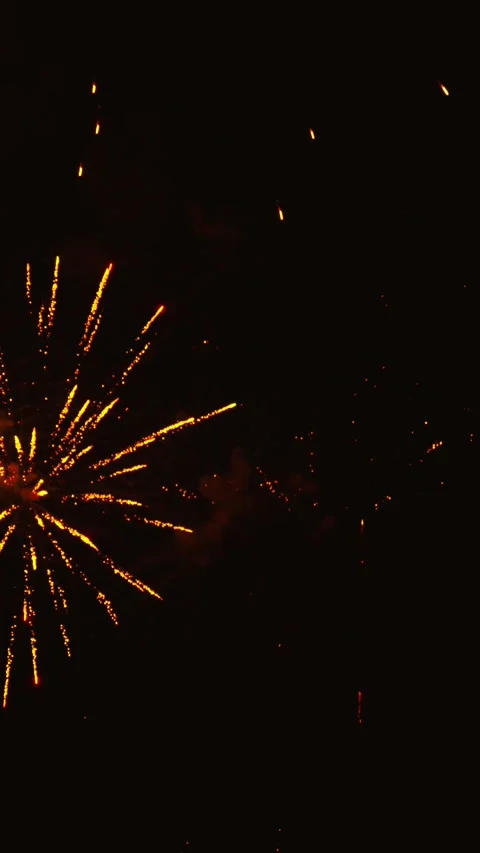Golden and red fireworks exploding in dark night sky 스톡 동영상 343160140