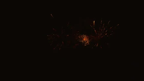 Golden and red fireworks exploding in the night sky 스톡 동영상 343160332
