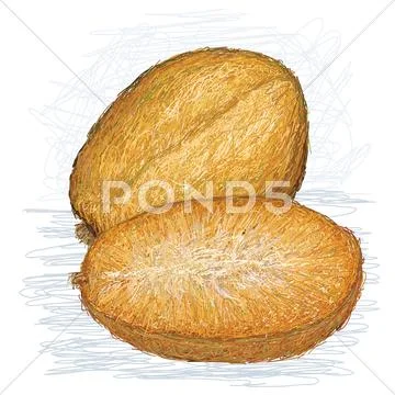 Golden apple with cross section. Stock Illustration