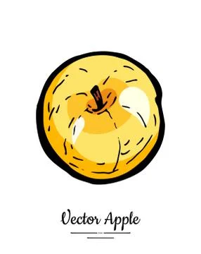 Golden apple vector isolated. Yellow fruit hand drawn illustration. Trendy fo Stock Illustration