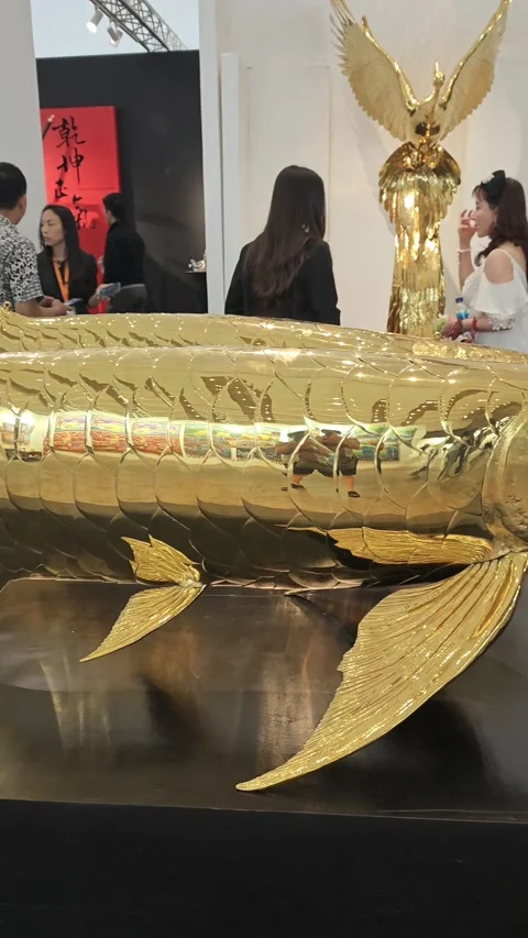 Golden arowana Stock Footage 334940653