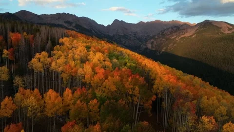 Golden Aspen Forest in Gore Range at Sunset | Colorado Drone 库存影片 331379183