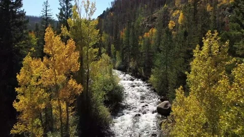 Golden Aspens on river in Colorado Stock Footage