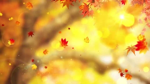 Golden Autumn Maple Leaves Falling Slow Motion Stock Footage 346189975