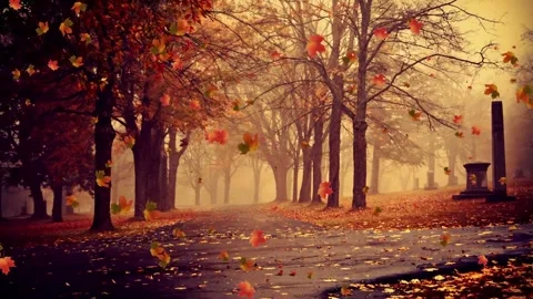 Golden Autumn Mist and Falling Leaves Stock Footage 346189936