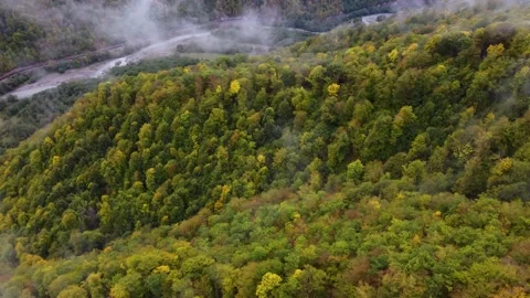 Golden autumn in the mountains Stock Footage 168564608