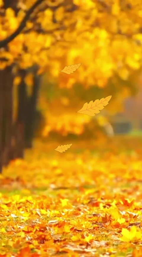 Golden Autumn Path – A Tranquil Nature Walk Stock Footage 303982596