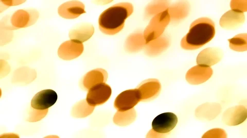 Golden background 库存影片 118064860