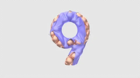 Golden Balloon Digit 9 Taking Off Blue Shell. 4K 3D animation on Alpha. Stock Footage 267355439