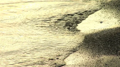 Golden Beach 02 Stock Footage 84121221