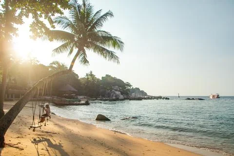 Golden beach and palm tree paradise, Ko Tao, Thailand Stock Photos