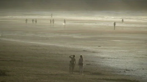 Golden beach Stock Footage 484213