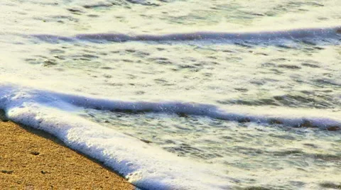 Golden beach Video stock 1463064