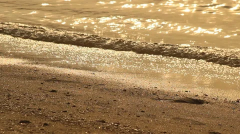 Golden beach Stock Footage 37220242