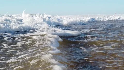 Golden Beach Video stock 201205215