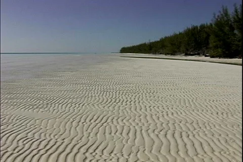 Golden Beach-pans Stock-Footage 817798
