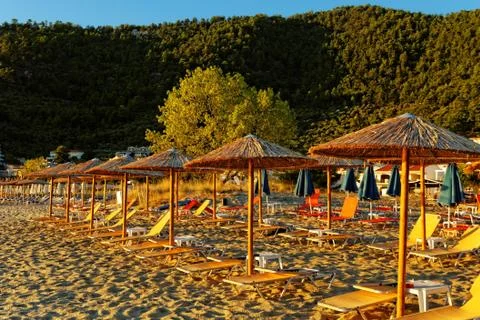 Golden beach Stock Photos