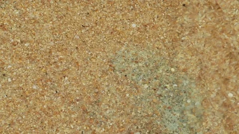 Golden Beach Sand Texture Under Clear Shallow Water 스톡 동영상 336939693