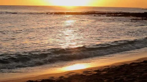 Golden beach water Stock Footage 8972465