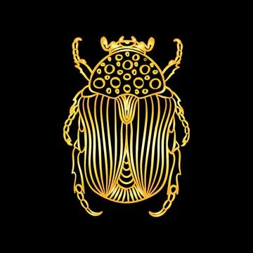 A golden beetle in a linear style. Linear vector illustration Stock Illustration