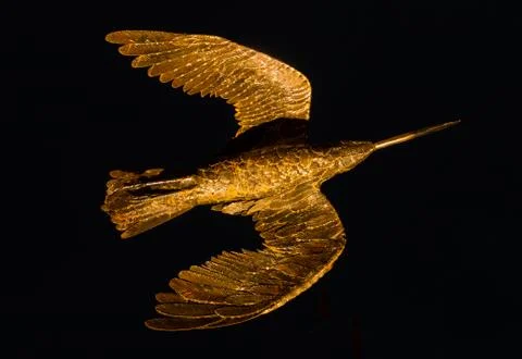 Golden bird Stock Photos