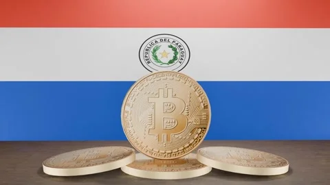 Golden Bitcoin and Paraguayan Flag Animation: From Close-Up to Wide View Video stock 295804953