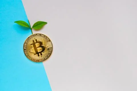 Golden Bitcoin with leafs Stock Photos