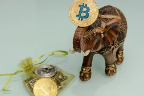 Golden bitcoin on Foto stock