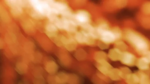 Golden Bokeh Light Stock Footage 90930981