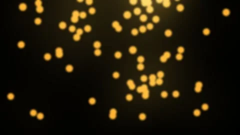 Golden bokeh light shines falling Stock Footage 317697923