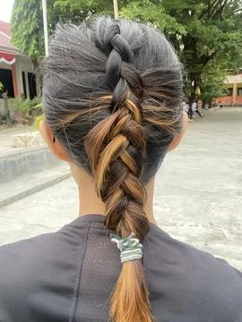 Golden Braid Cascade, Back View Beauty, Stylish Hairdo Foto stock