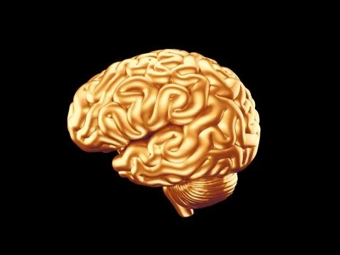 Golden brain Stock Illustration