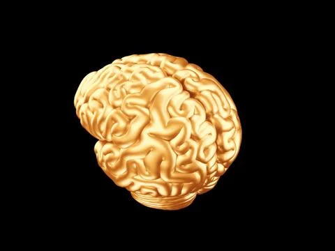 Golden brain Illustrazione stock
