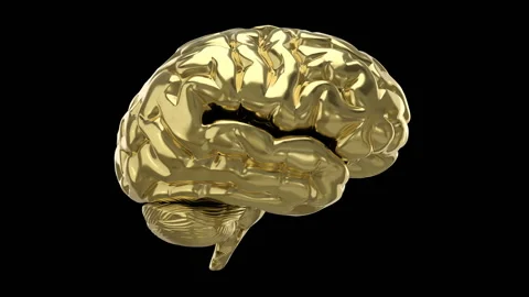 Golden brain revolves around on a black background with alpha matte. Stock Footage 155241197