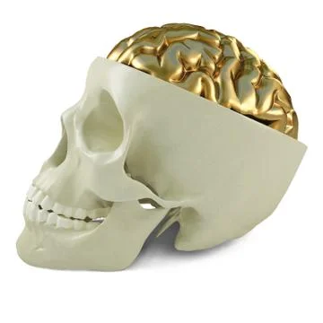 Golden brains Stock-Illustration