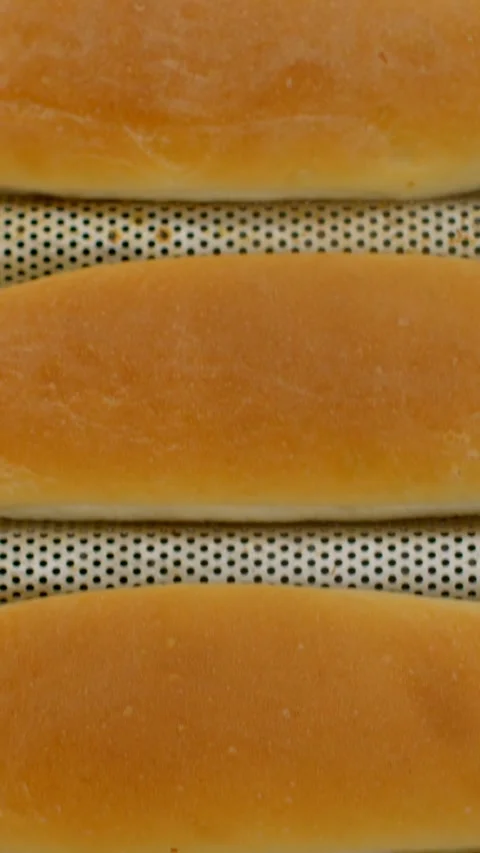 Golden bread loaves and rolls lined up on bakery conveyor cooling warm rack Stock Footage 344571571