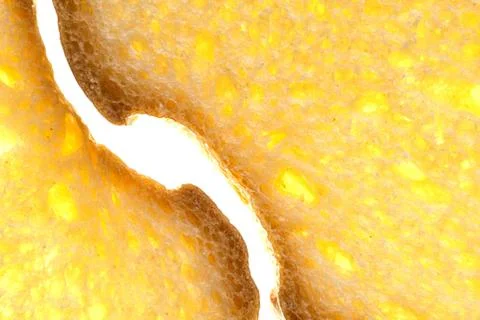 Golden bread slices Stock Photos