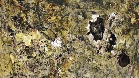 Golden brown abstract patterns on a marble surface Stock Footage 264157042