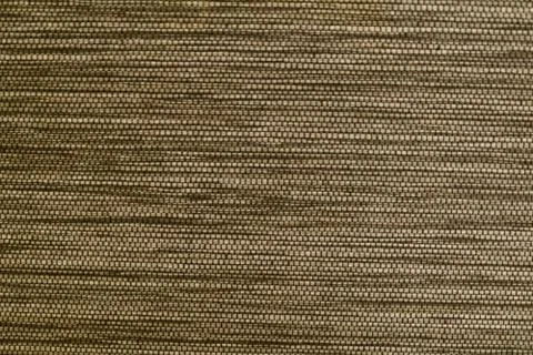 Golden Brown Net Pattern Background Stock Photos