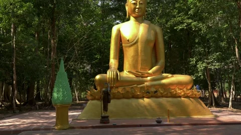 Golden Buddha in the Forest Stock Footage 333291340