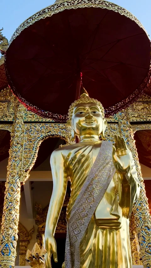Golden Buddha Image - Old Wihan - Wat Buppharam - Chiang Mai - Thailand Stock Footage 345290908