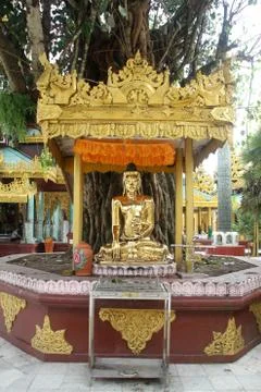 Golden buddha Stock Photos
