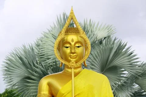 Golden buddha Stock Photos