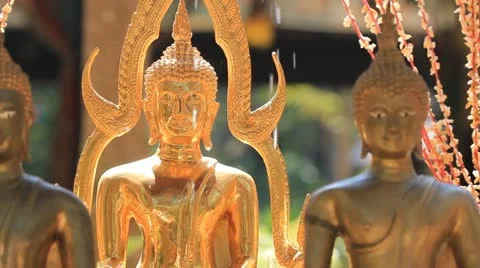 Golden Buddha statue Stock Footage 10871104