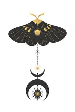 Golden celestial emblem of moth with space decorations Stockillustratie