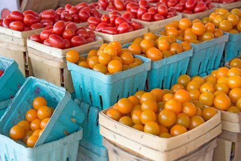 Golden cherry tomatoes Stock Photos
