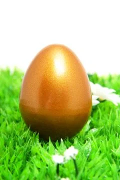 Golden chicken easter egg on grass and flowers Stock Photos
